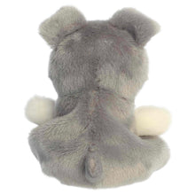 Load image into Gallery viewer, Palm Pals Korra Schnauzer