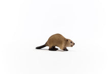 Load image into Gallery viewer, Schleich Beaver