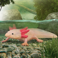 Load image into Gallery viewer, Axolotl