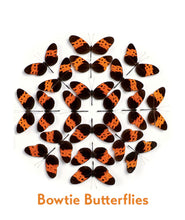 Load image into Gallery viewer, Christopher Marley’s Incredible Insects Memory Game