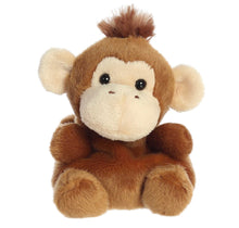 Load image into Gallery viewer, Palm Pals Boomer Monkey