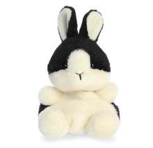 Load image into Gallery viewer, Palm Pals Dutch Bunny