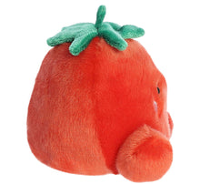 Load image into Gallery viewer, Palm Pals Boyd Tomato