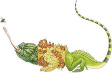 Load image into Gallery viewer, Flip-A-Gator - Sara Bell - Board Book