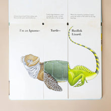 Load image into Gallery viewer, Flip-A-Gator - Sara Bell - Board Book