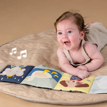 Load image into Gallery viewer, Taf Toys Soothing Sound Book