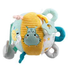 Load image into Gallery viewer, Cucu Activity Ball