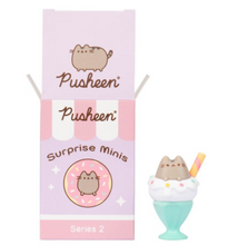 Load image into Gallery viewer, Pusheen Mystery Minis Series 2