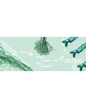 Load image into Gallery viewer, Micro Mini Deluxe Eco Green Scooter