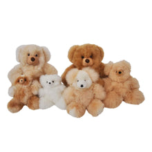 Load image into Gallery viewer, Auskin Alpaca Bear 20cm