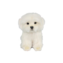 Load image into Gallery viewer, Hansa Maltese Tea Cup 15cm