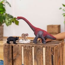 Load image into Gallery viewer, Schleich American Black Bear