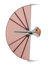 Load image into Gallery viewer, Star Wars Micro Galaxy Asajj Ventress's Ginivex Starfighter