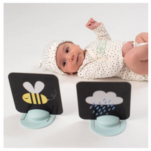 Load image into Gallery viewer, Taf Toys My First Tummy-Time Cards
