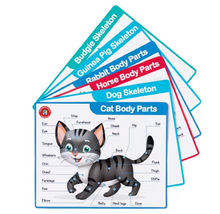 Load image into Gallery viewer, My Vet Clinic