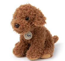 Load image into Gallery viewer, B.T. Chaps Stacy the Labradoodle in Giftbox