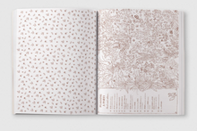 Load image into Gallery viewer, Brown Bear Wood Colouring & Spotting Book