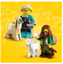 Load image into Gallery viewer, Lego Minifigures Series 25 71045