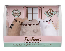 Load image into Gallery viewer, Pusheen Family Gathering Collection Set