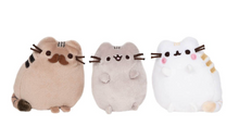 Load image into Gallery viewer, Pusheen Family Gathering Collection Set
