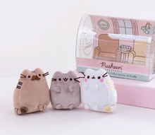 Load image into Gallery viewer, Pusheen Family Gathering Collection Set