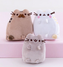 Load image into Gallery viewer, Pusheen Family Gathering Collection Set