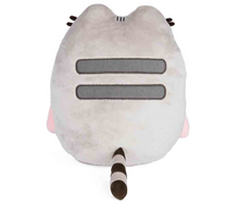 Load image into Gallery viewer, Pusheen Rainbow