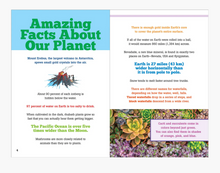 Load image into Gallery viewer, The Big Book of Useless Facts