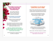 Load image into Gallery viewer, The Big Book of Useless Facts