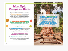 Load image into Gallery viewer, The Big Book of Useless Facts