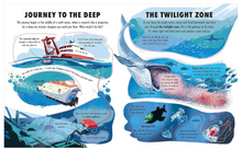 Load image into Gallery viewer, Usborne Extreme Planet The Deep