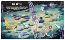 Load image into Gallery viewer, Usborne Extreme Planet The Deep