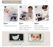 Load image into Gallery viewer, Taf Toys Black & White Spinning Book