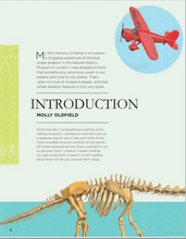 Load image into Gallery viewer, Wonders of the Worlds Museums