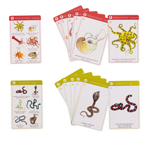 Load image into Gallery viewer, Moulin Roty Happy Families