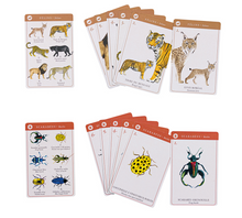 Load image into Gallery viewer, Moulin Roty Happy Families