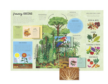 Load image into Gallery viewer, The Lift The Flap Encyclopedia of Planet Earth - Hardcover