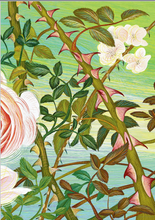 Load image into Gallery viewer, A Perfect Spot - Isabelle Simler - Hardcover