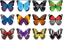 Load image into Gallery viewer, Mudpuppy Shaped Memory Match Butterflies