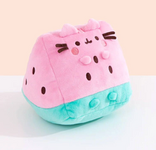 Load image into Gallery viewer, Pusheen Fruits Watermelon 15cm