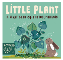 Load image into Gallery viewer, 5 Minute Nature Story Box - 4 Board Books