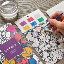 Load image into Gallery viewer, Liberty Paint in Print Set