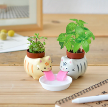 Load image into Gallery viewer, Peropon Licking Animal Plant Cultivation