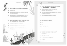 Load image into Gallery viewer, Everything Under the Sun Quiz Book
