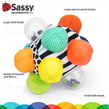Load image into Gallery viewer, Sassy Baby Bumpy Ball