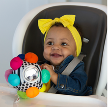 Load image into Gallery viewer, Sassy Baby Bumpy Ball