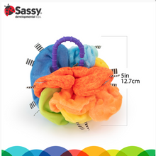 Load image into Gallery viewer, Sassy Baby Crinkle Ball
