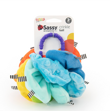 Load image into Gallery viewer, Sassy Baby Crinkle Ball