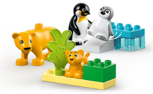 Load image into Gallery viewer, Lego Duplo Wild Animal Families Penguins & Lions 10442