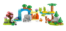 Load image into Gallery viewer, Lego Duplo 3 in 1 Wild Animal Families 10446